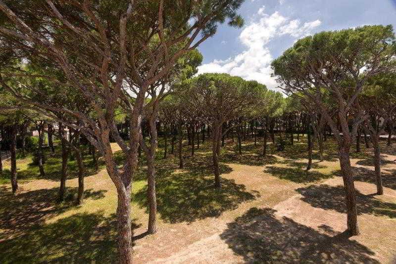 Hotel Leopoldo Castiglioncello Luaran gambar